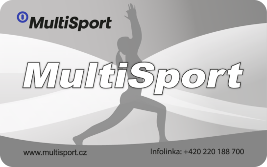 Logo MultiSport